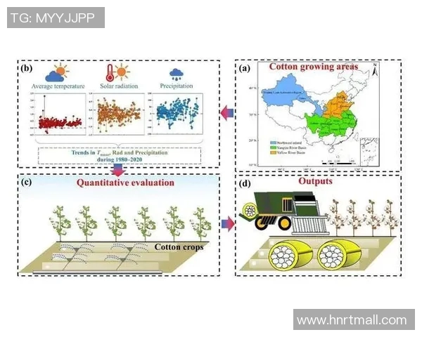最新研究揭示全球气候变化加剧对生态系统的深远影响及应对策略